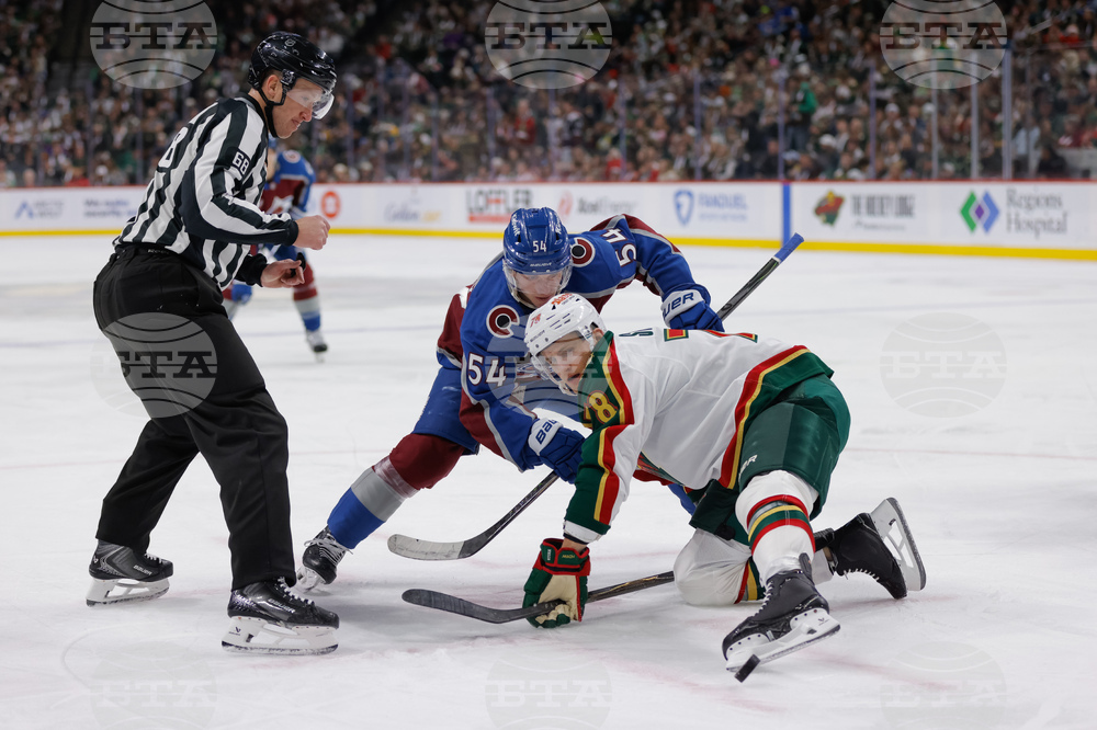 Avalanche Wild Hockey