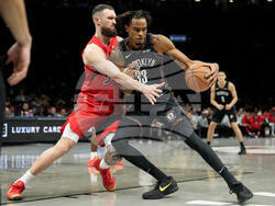 Raptors Nets Basketball