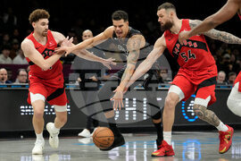 Raptors Nets Basketball