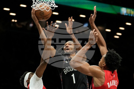 Raptors Nets Basketball