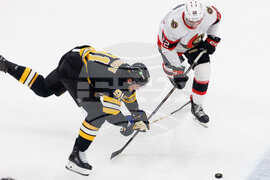 Senators Bruins Hockey