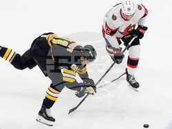 Senators Bruins Hockey
