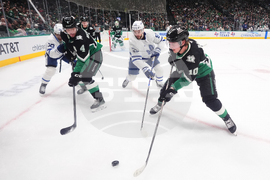 Maple Leafs Stars Hockey