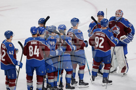 Avalanche Wild Hockey