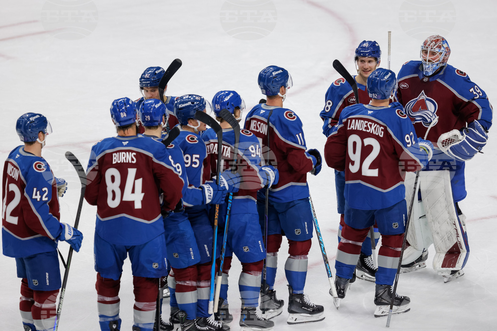 Avalanche Wild Hockey