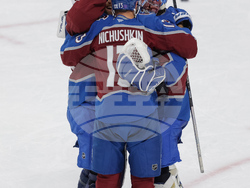 Avalanche Wild Hockey