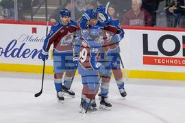 Avalanche Wild Hockey