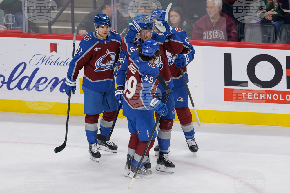 Avalanche Wild Hockey