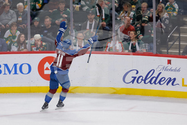 Avalanche Wild Hockey