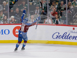 Avalanche Wild Hockey