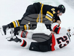 Senators Bruins Hockey