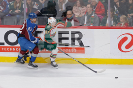 Avalanche Wild Hockey