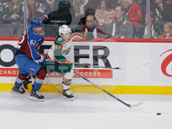 Avalanche Wild Hockey