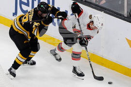 Senators Bruins Hockey