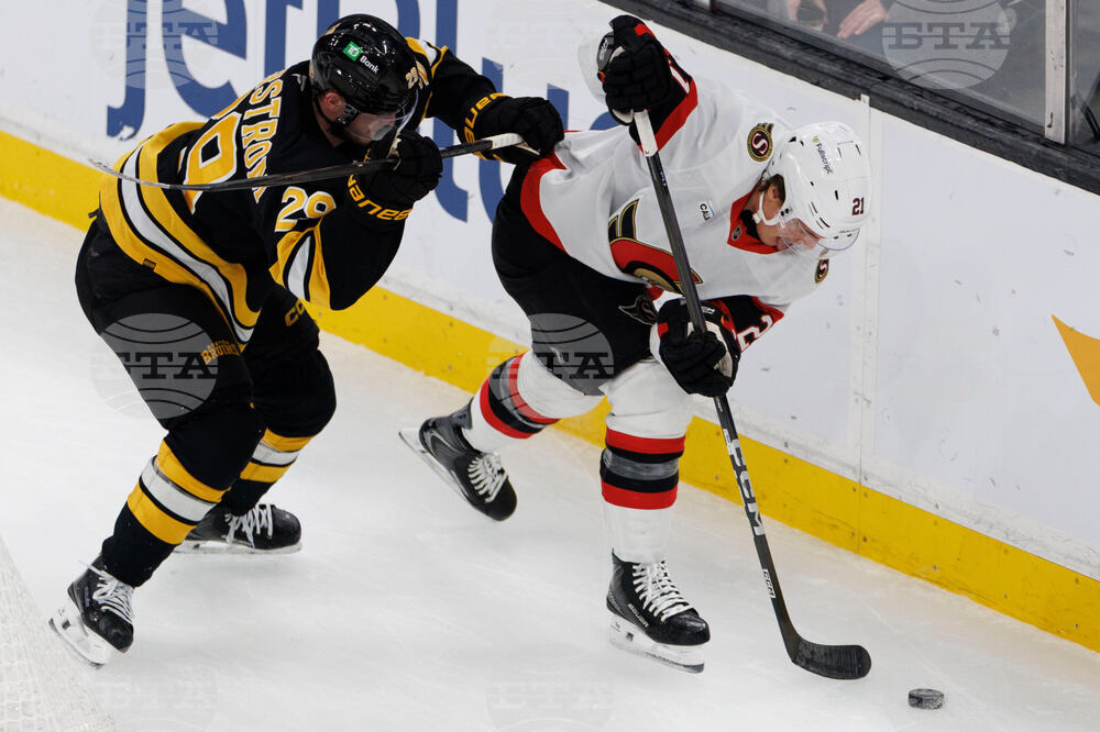 Senators Bruins Hockey