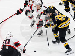 Senators Bruins Hockey