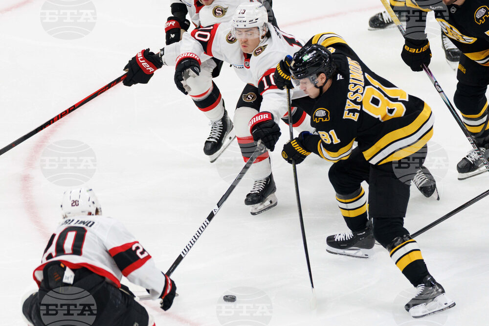 Senators Bruins Hockey