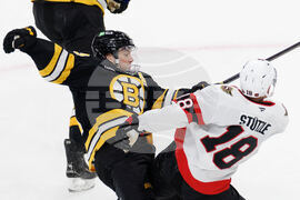Senators Bruins Hockey