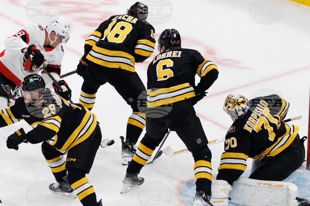 Senators Bruins Hockey