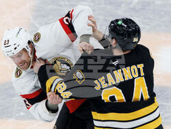 Senators Bruins Hockey
