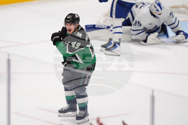 Maple Leafs Stars Hockey