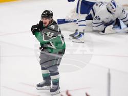 Maple Leafs Stars Hockey