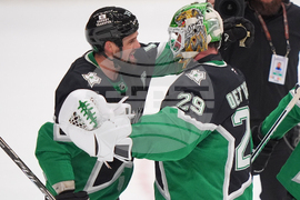 Maple Leafs Stars Hockey