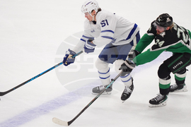 Maple Leafs Stars Hockey