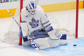 Maple Leafs Stars Hockey