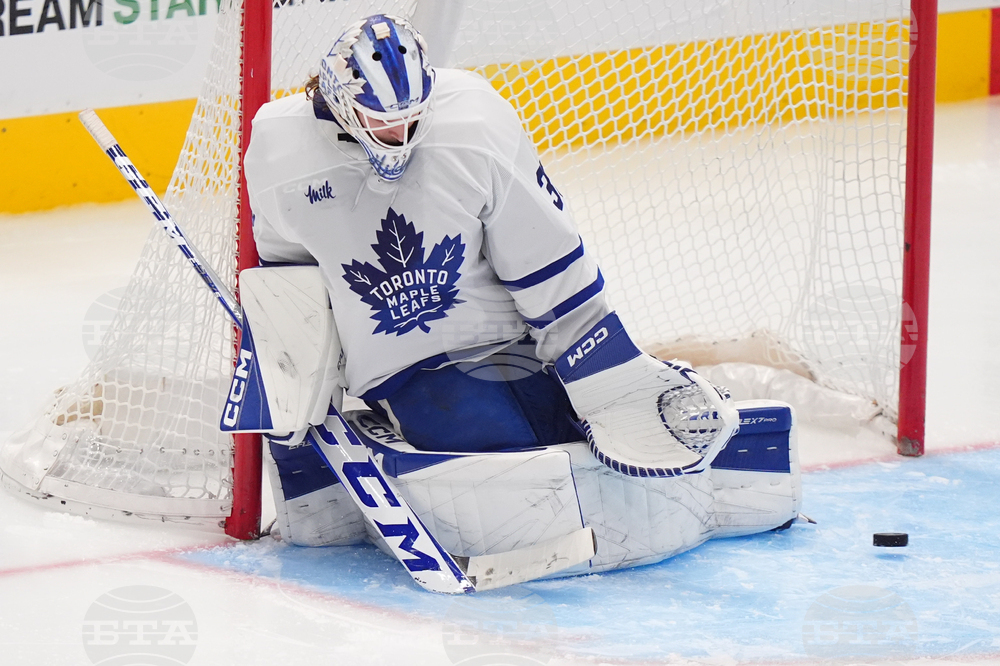 Maple Leafs Stars Hockey