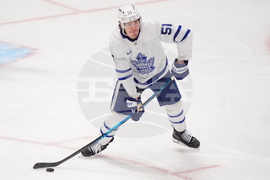 Maple Leafs Stars Hockey