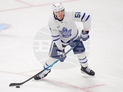 Maple Leafs Stars Hockey