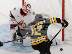 Senators Bruins Hockey