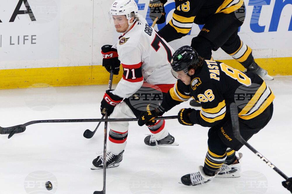 Senators Bruins Hockey