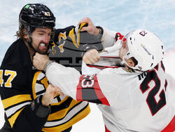 Senators Bruins Hockey