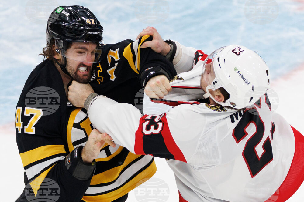 Senators Bruins Hockey