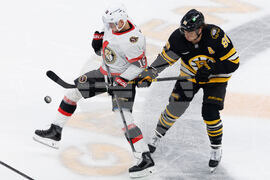 Senators Bruins Hockey