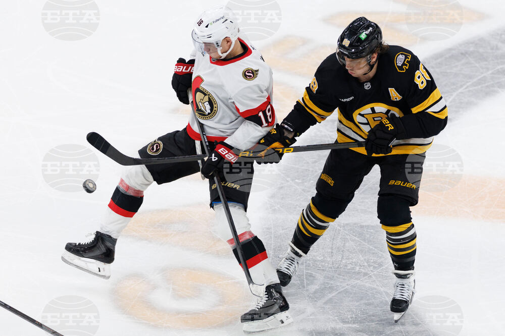 Senators Bruins Hockey