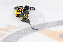 Senators Bruins Hockey