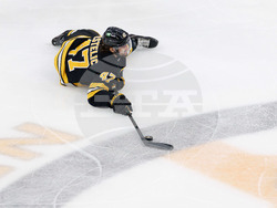 Senators Bruins Hockey