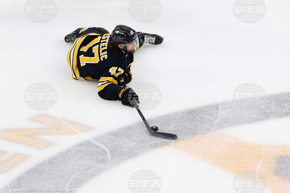 Senators Bruins Hockey