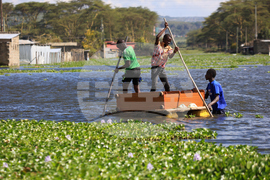 Kenya Rising Lakes