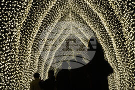 Botanical Garden Holiday Lights