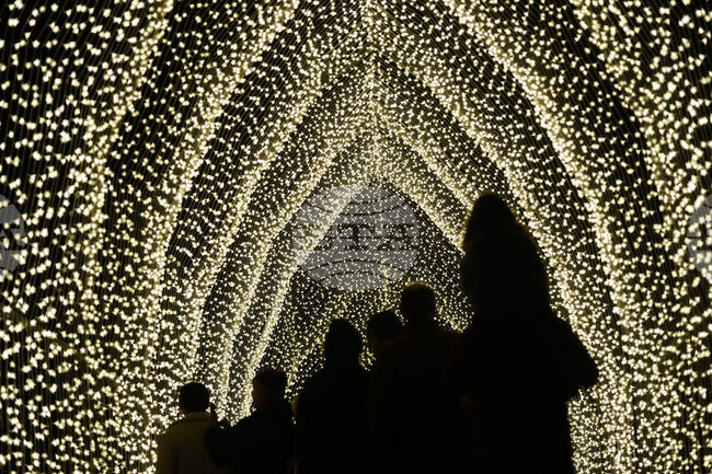 Botanical Garden Holiday Lights