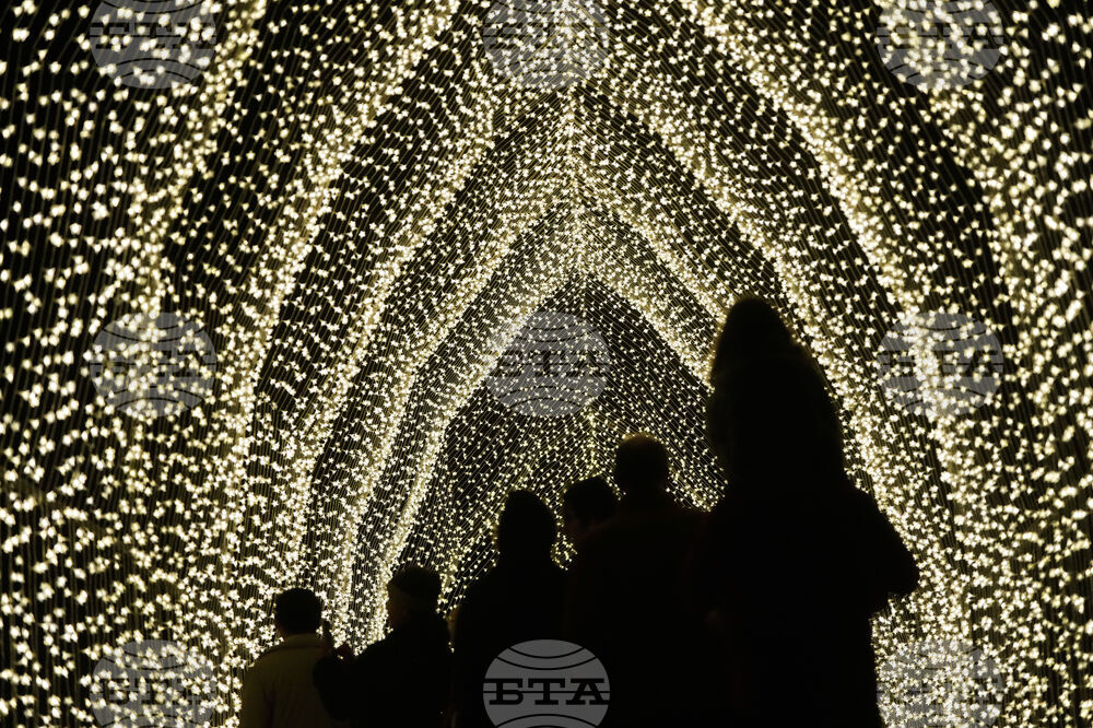 Botanical Garden Holiday Lights