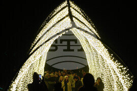 Botanical Garden Holiday Lights