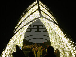 Botanical Garden Holiday Lights