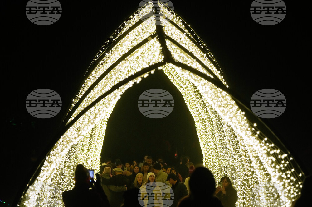 Botanical Garden Holiday Lights