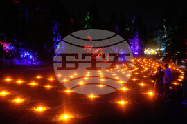 Botanical Garden Holiday Lights