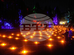 Botanical Garden Holiday Lights